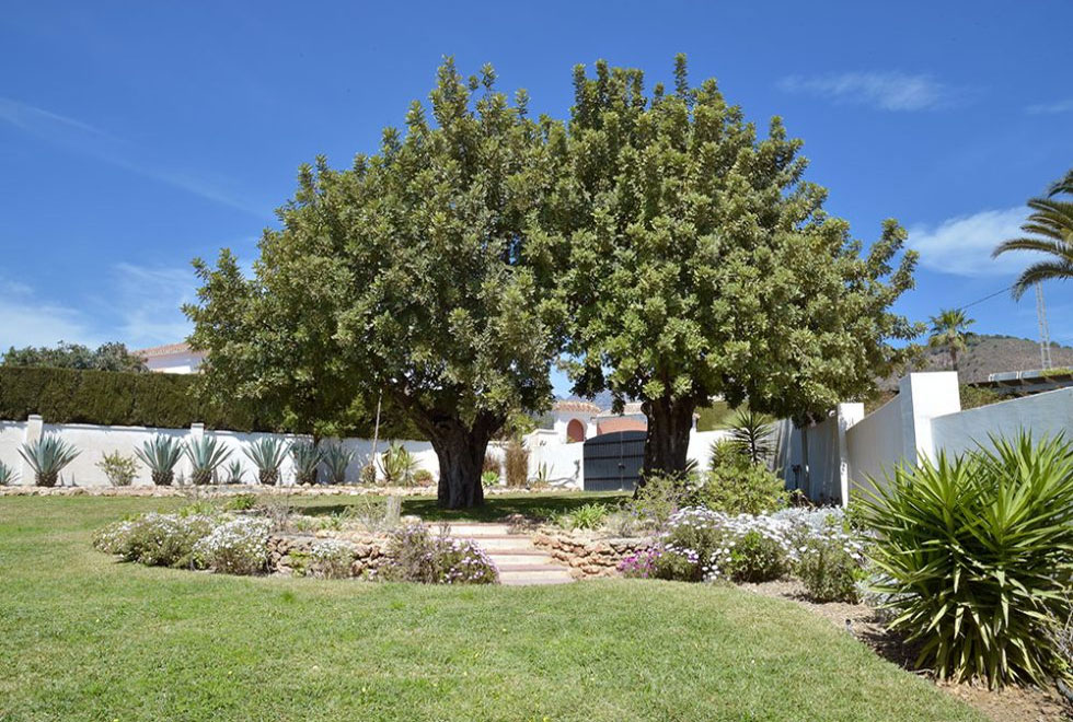 Luxurious Private Villa in Nerja Spain