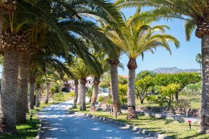 Secluded Villa Entrance